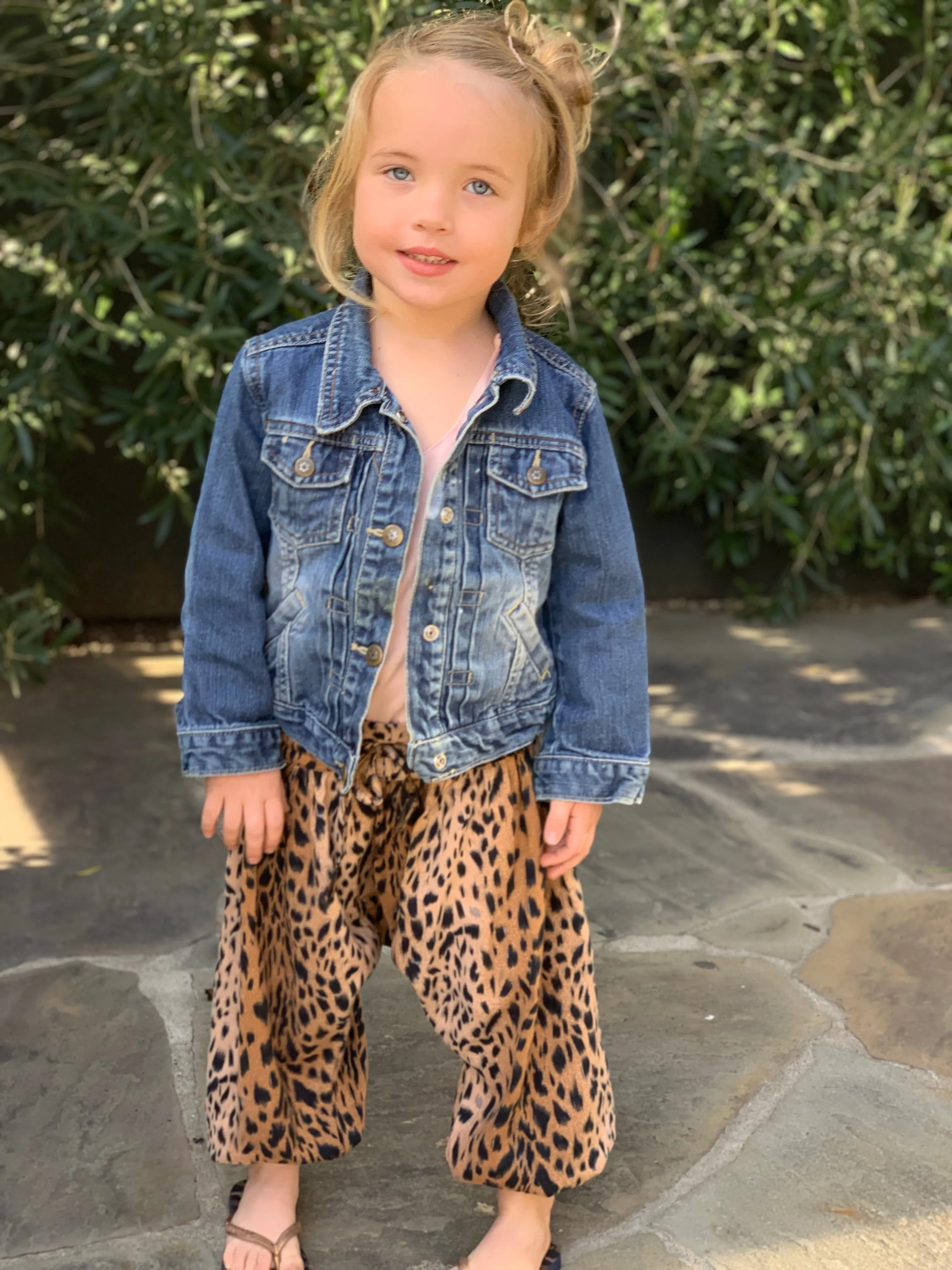 Animal Print Harem Pants | Cheetah