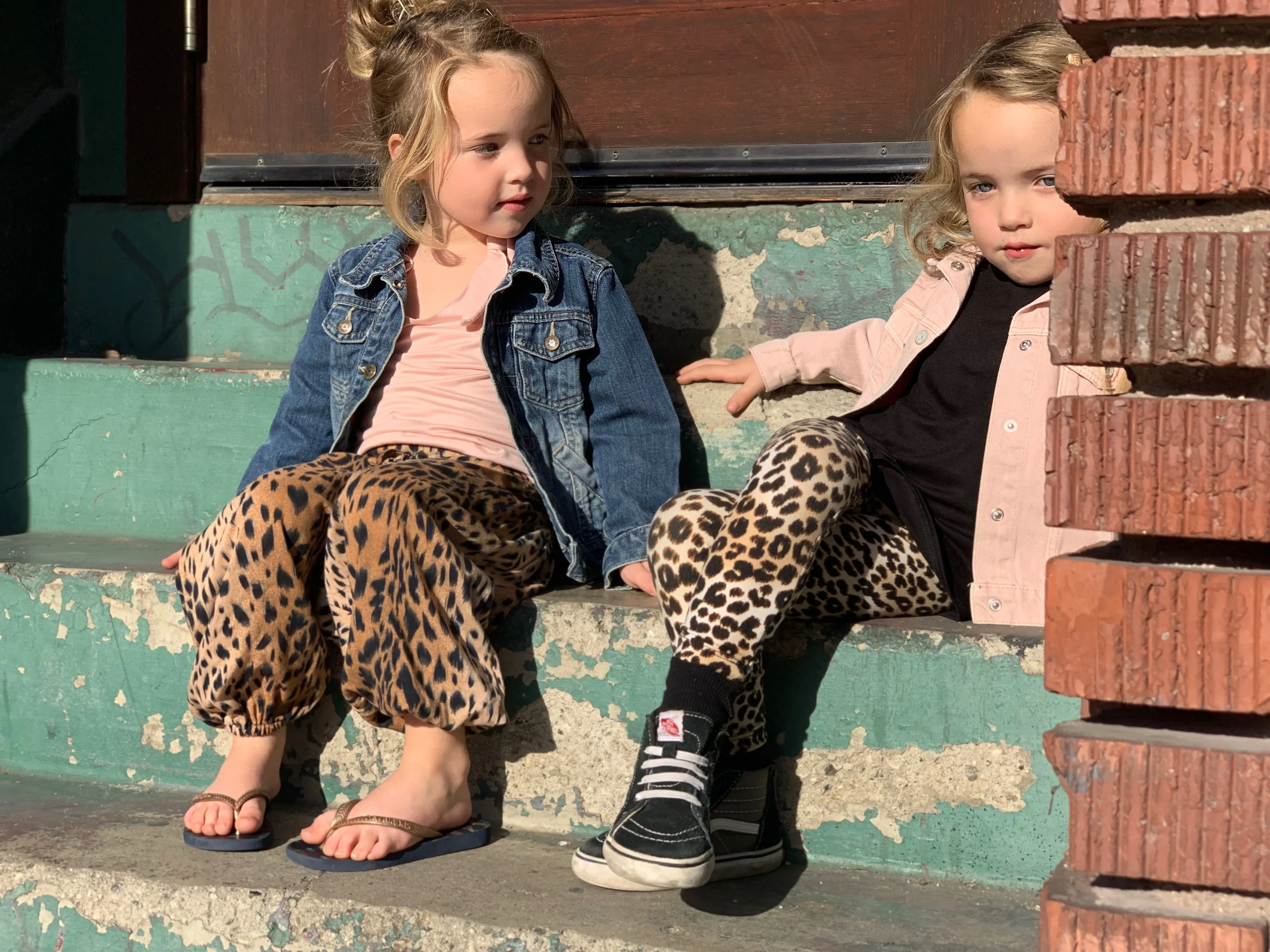 Animal Print Harem Pants | Cheetah