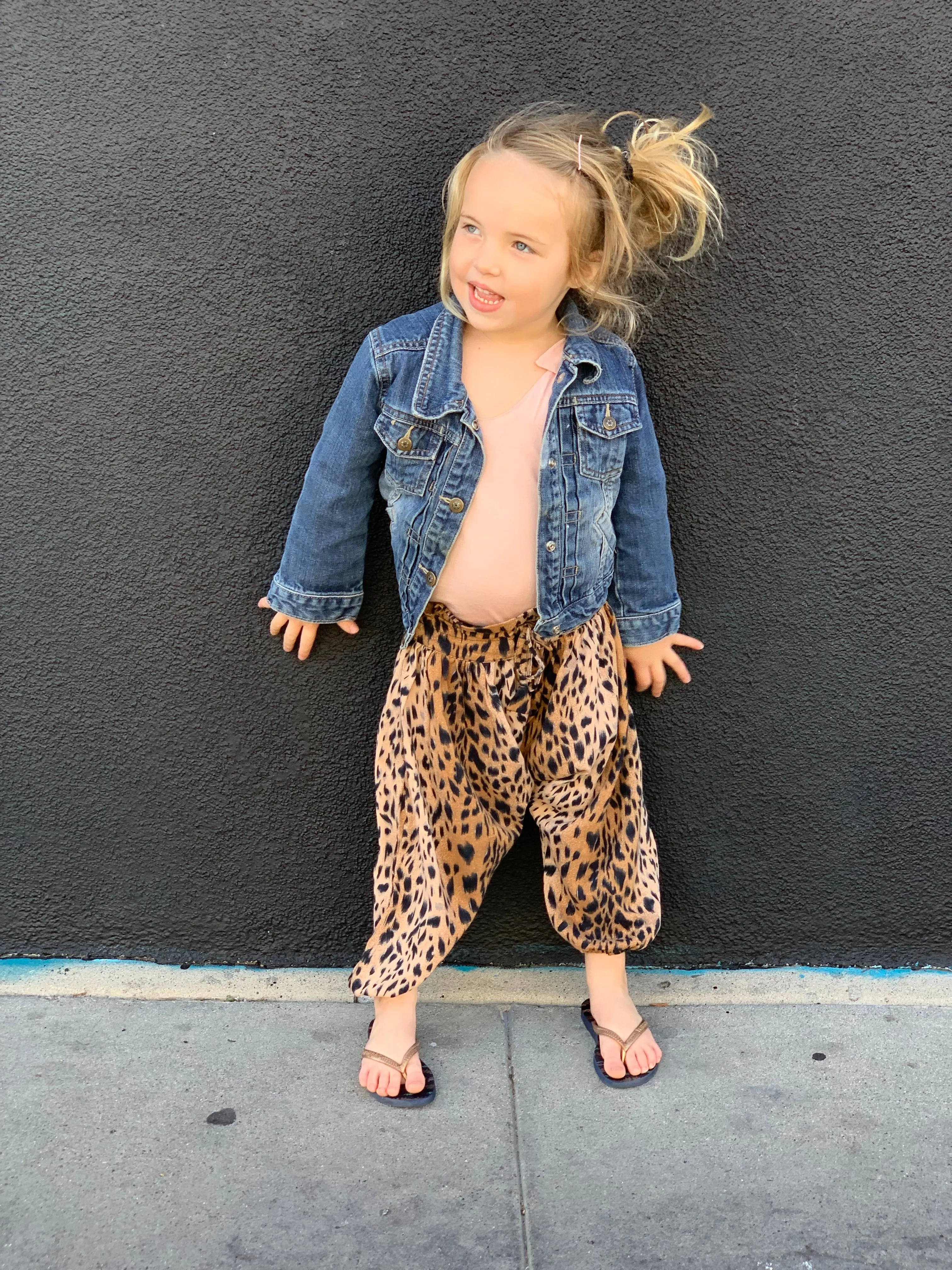Animal Print Harem Pants | Cheetah