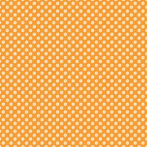 Color Up Daisy Bright Medium Orange