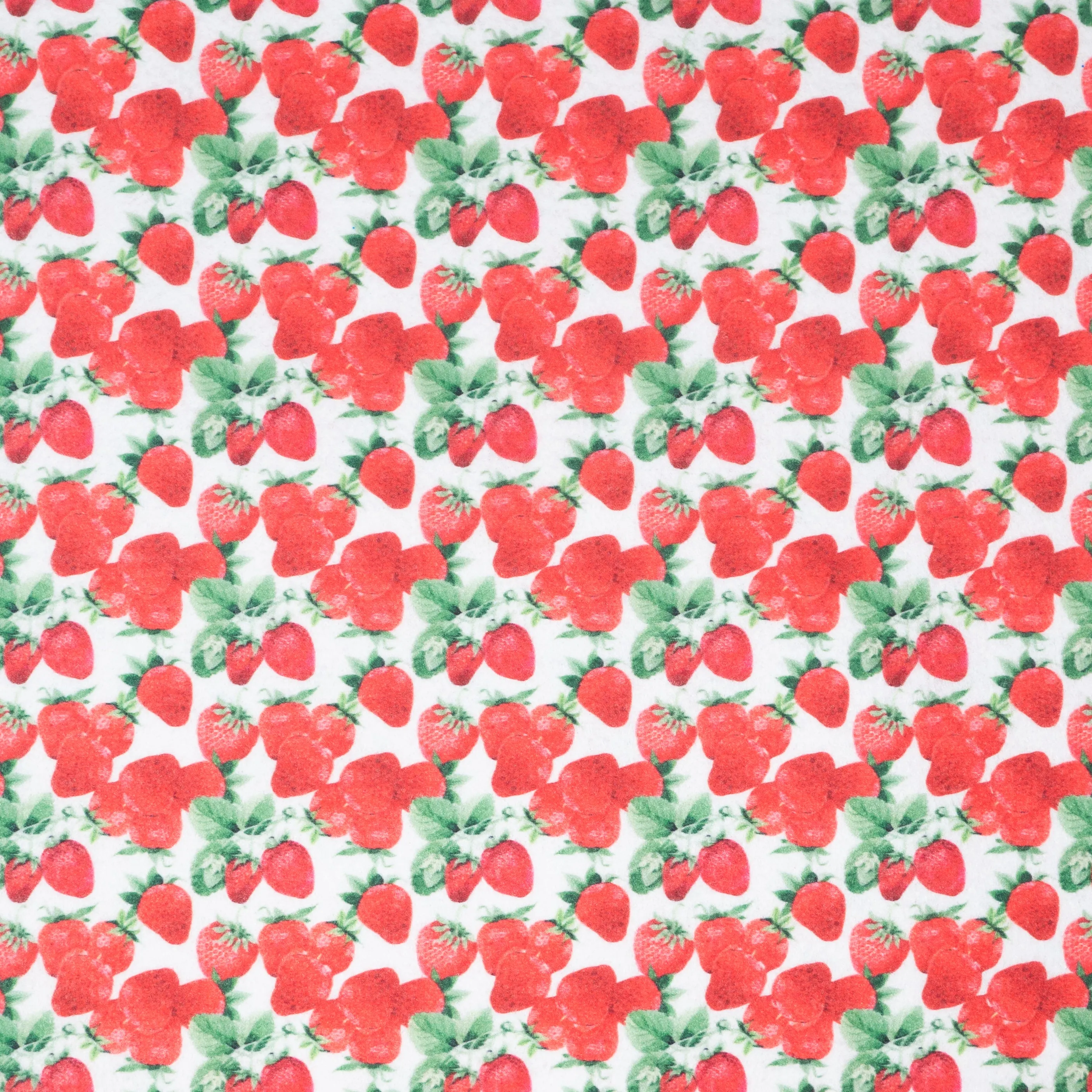 Fruit Basket Printed Felt Collection/ Sheets