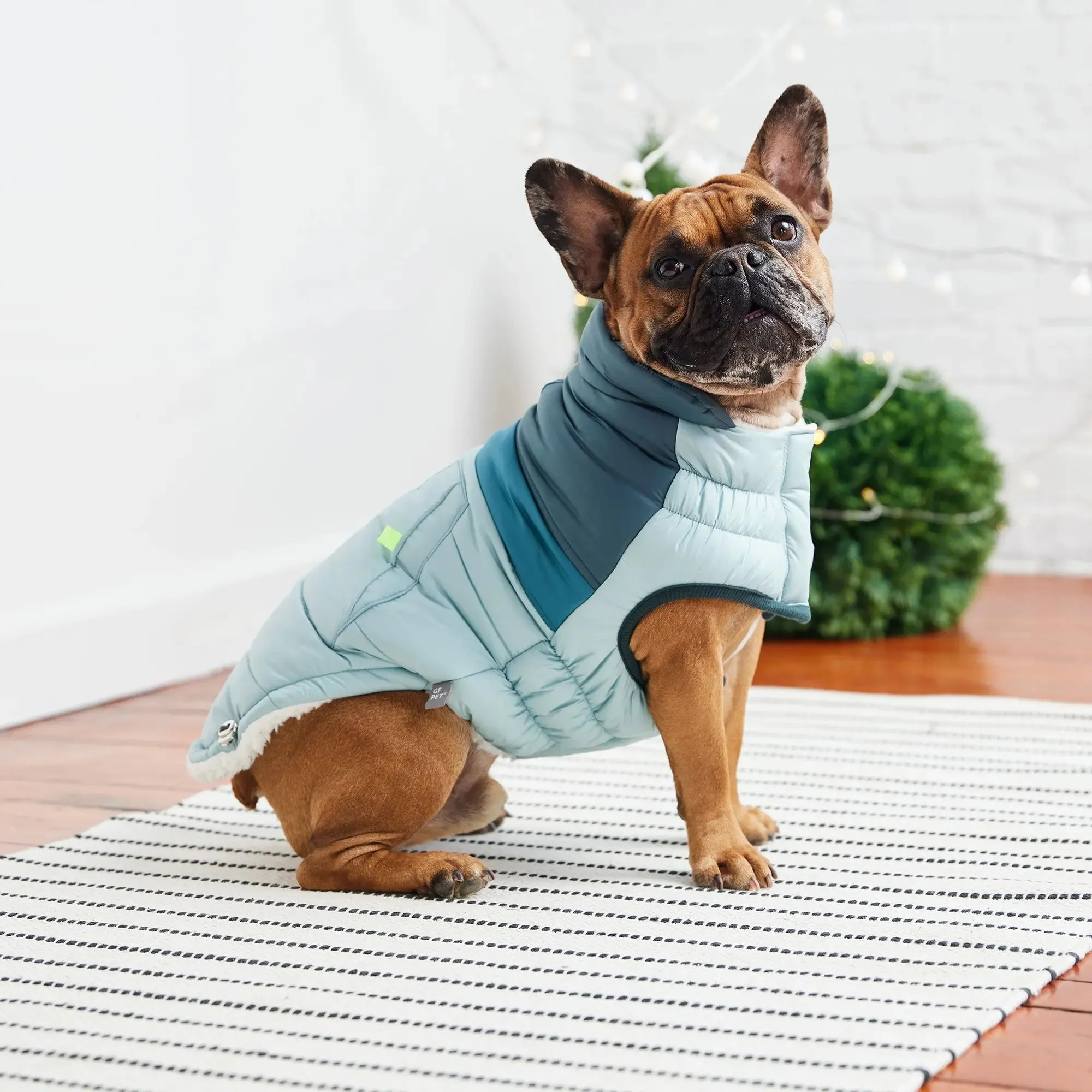 Retro Dog Puffer | Light Blue