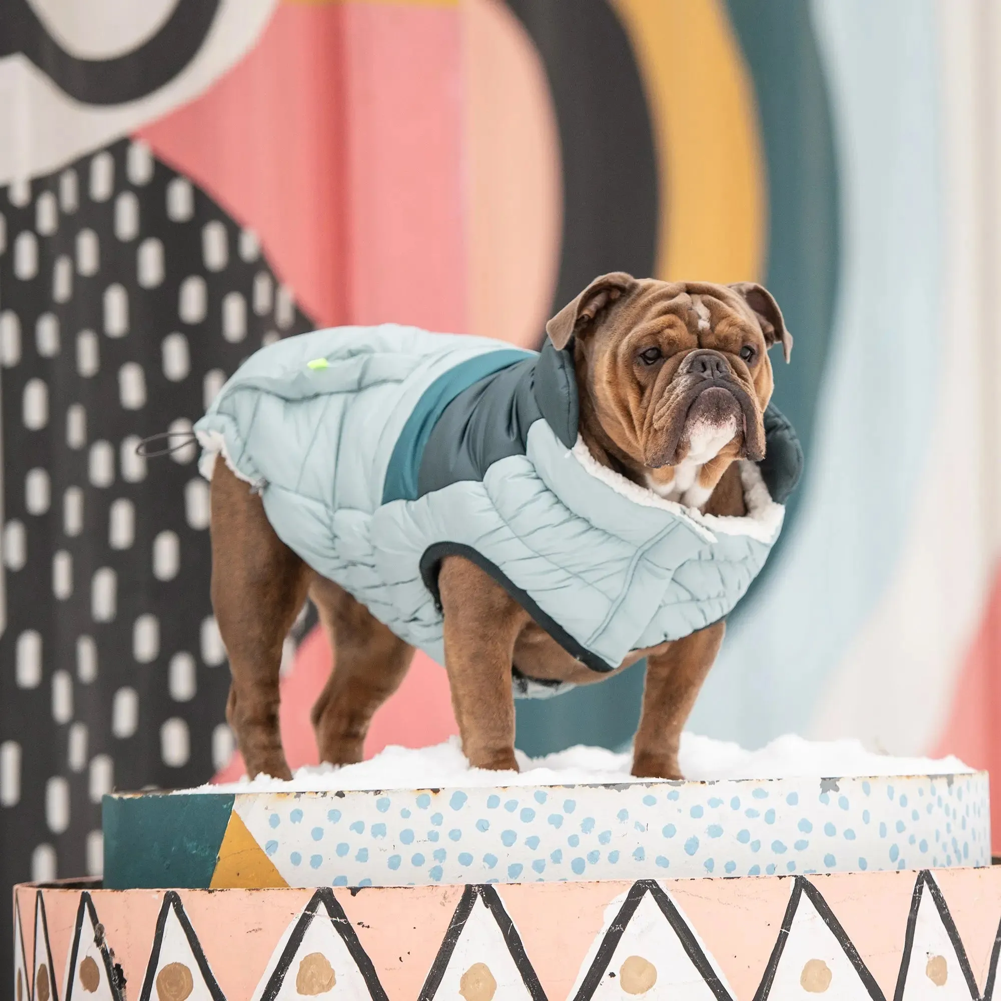 Retro Dog Puffer | Light Blue