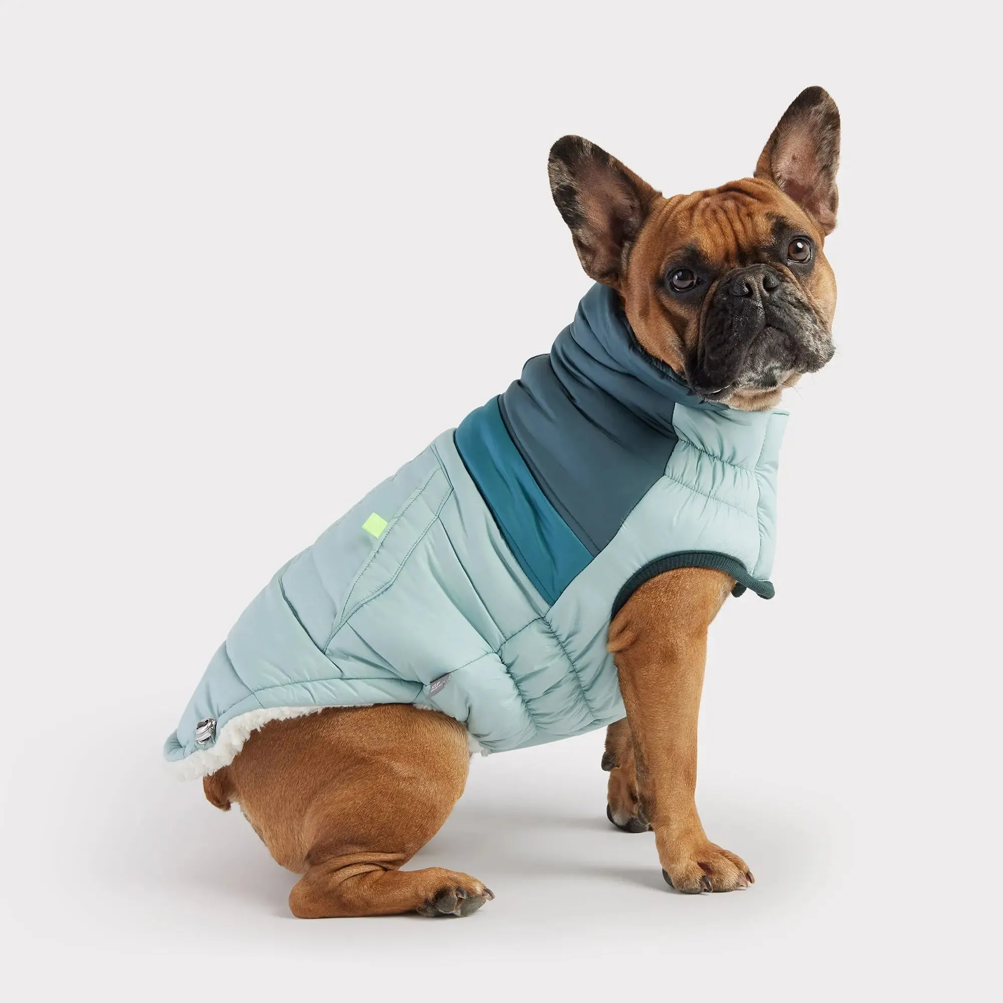 Retro Dog Puffer | Light Blue
